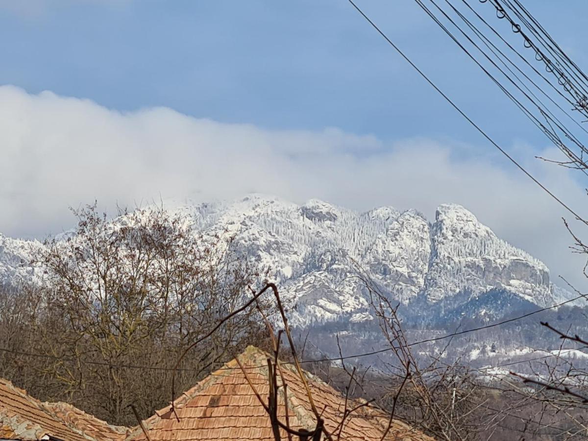 Casa Hera Calimanesti Luaran gambar