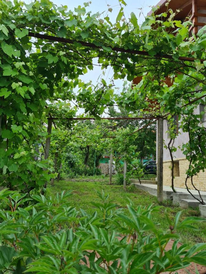 Casa Hera Calimanesti Luaran gambar