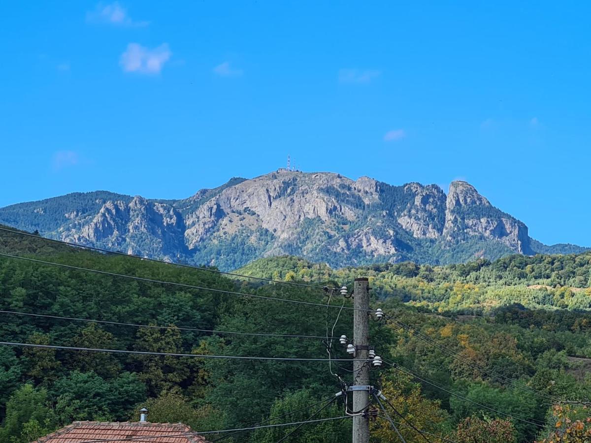 Casa Hera Calimanesti Luaran gambar