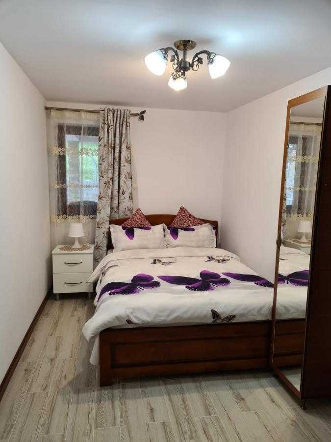 Casa Hera Calimanesti Luaran gambar