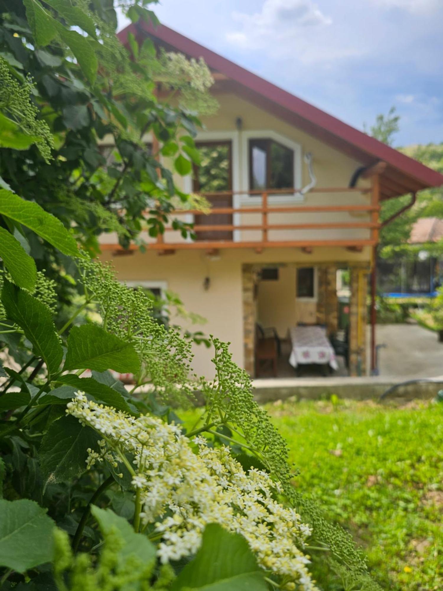 Casa Hera Calimanesti Luaran gambar