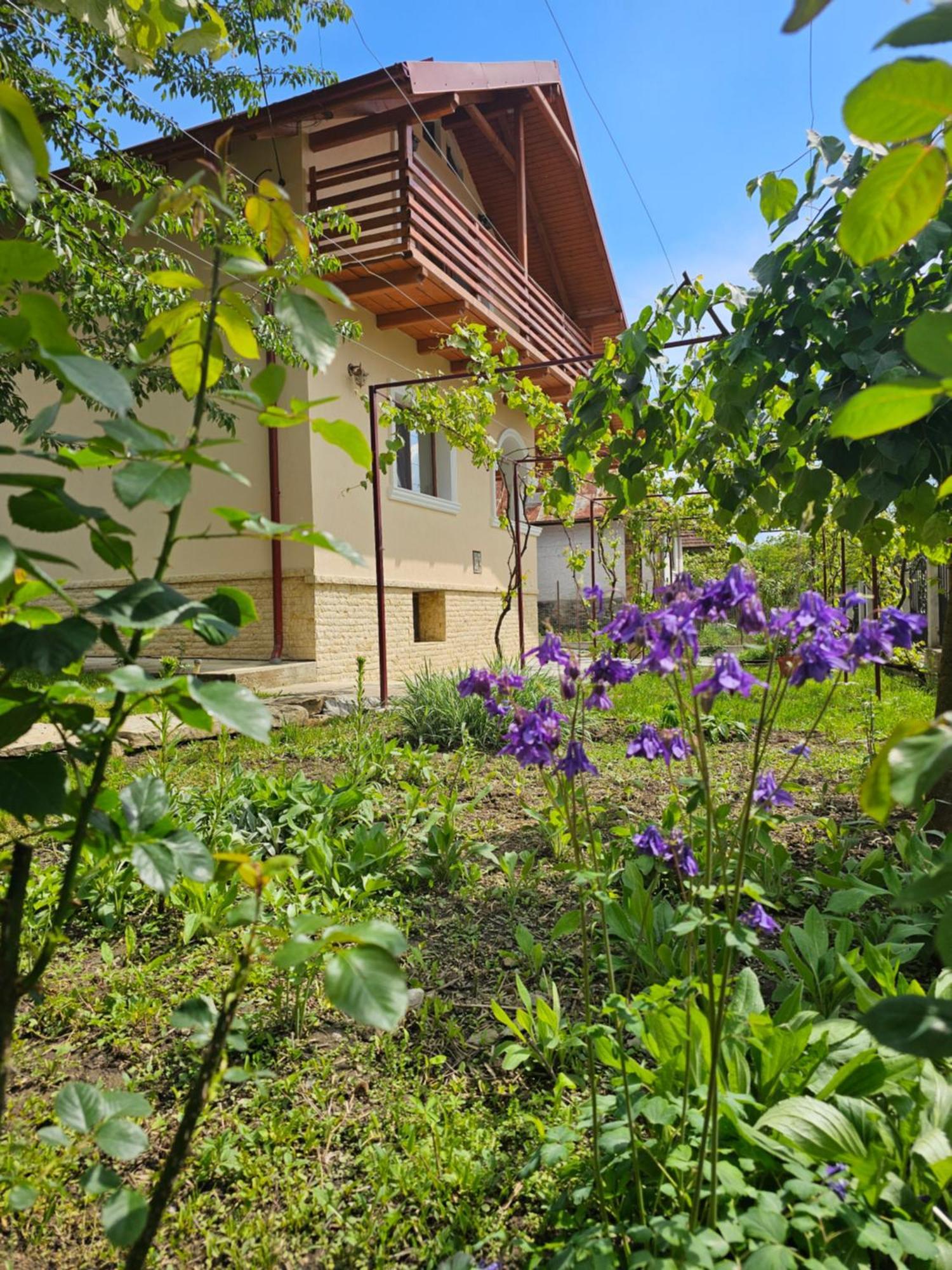 Casa Hera Calimanesti Luaran gambar